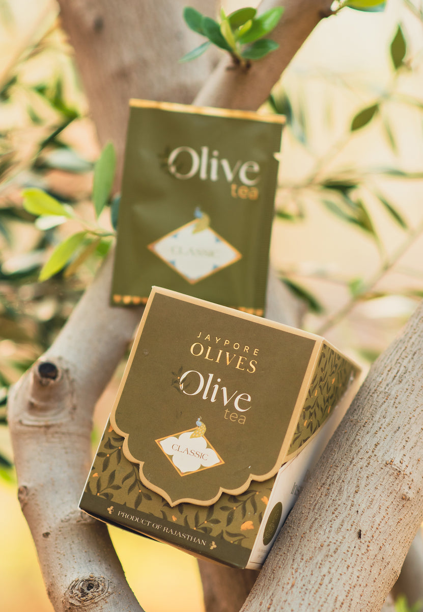 CLASSIC OLIVE LEAF TEA jayporeolives